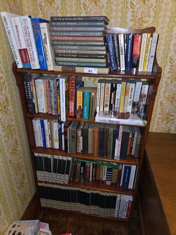 Bookshelf (30"Wx10"Dx60"H) w/Books