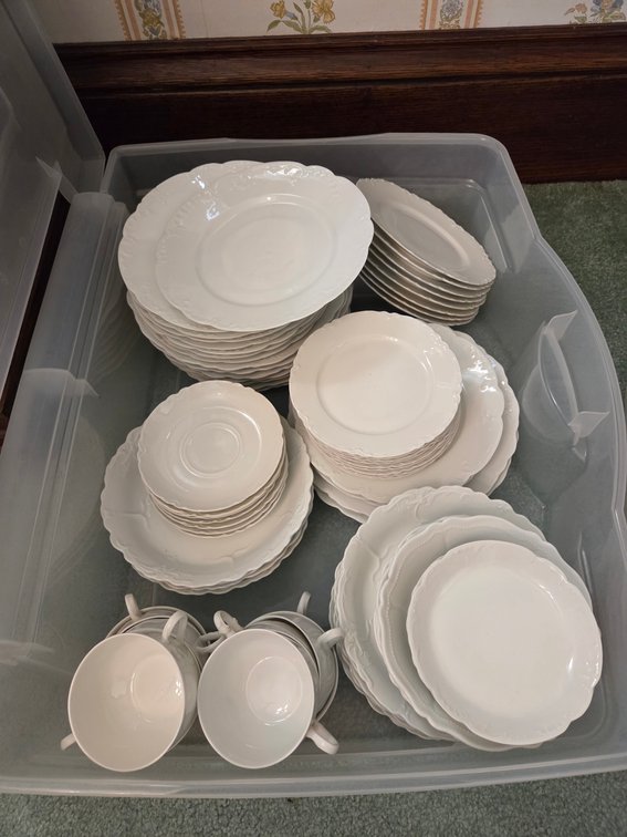 Haviland China Dishes