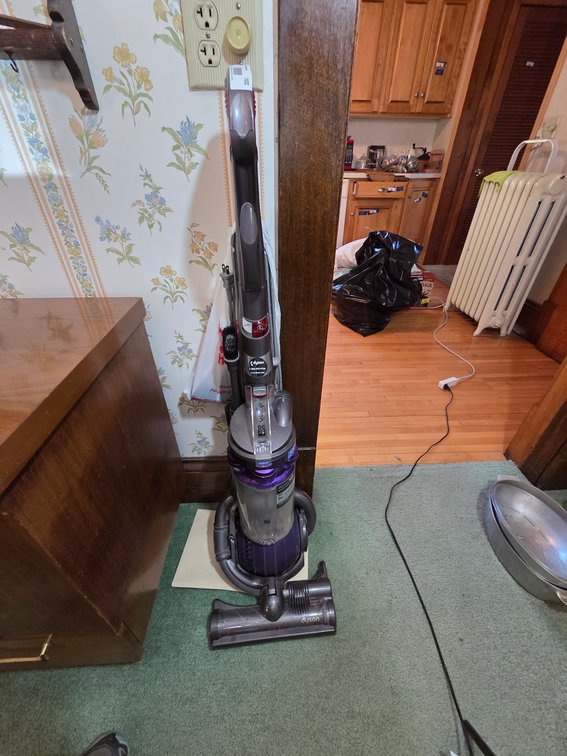 Dyson Ball Pet Vac