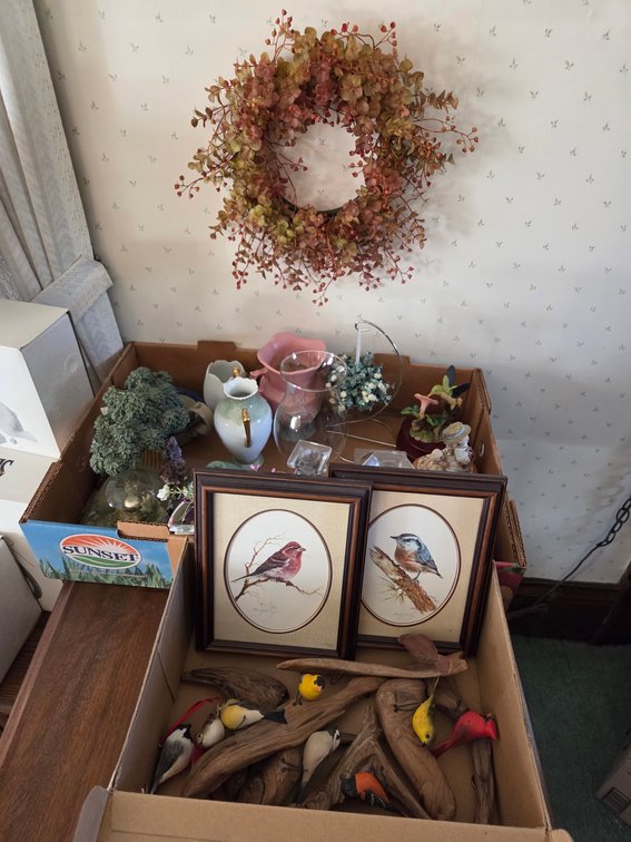 Spring and Bird Decorations