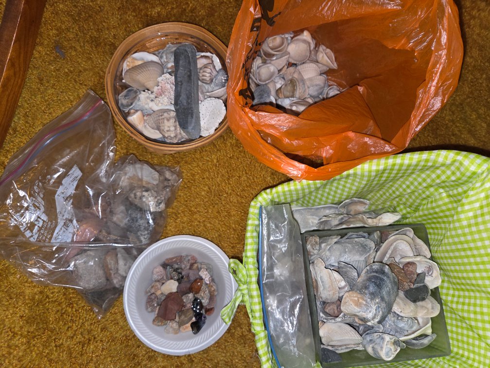Collection of Sea Shells and Stones