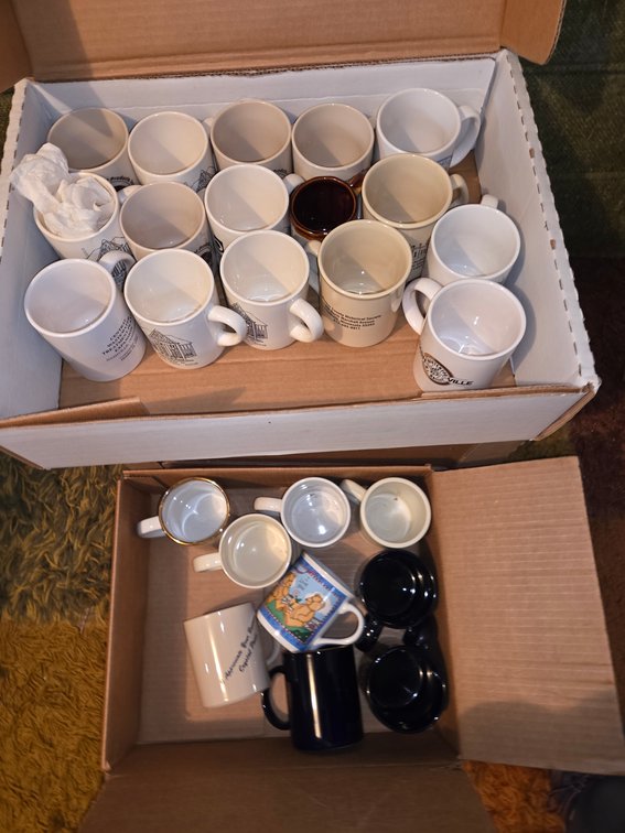 Coffee Mugs-1984 Collector Beer Cans