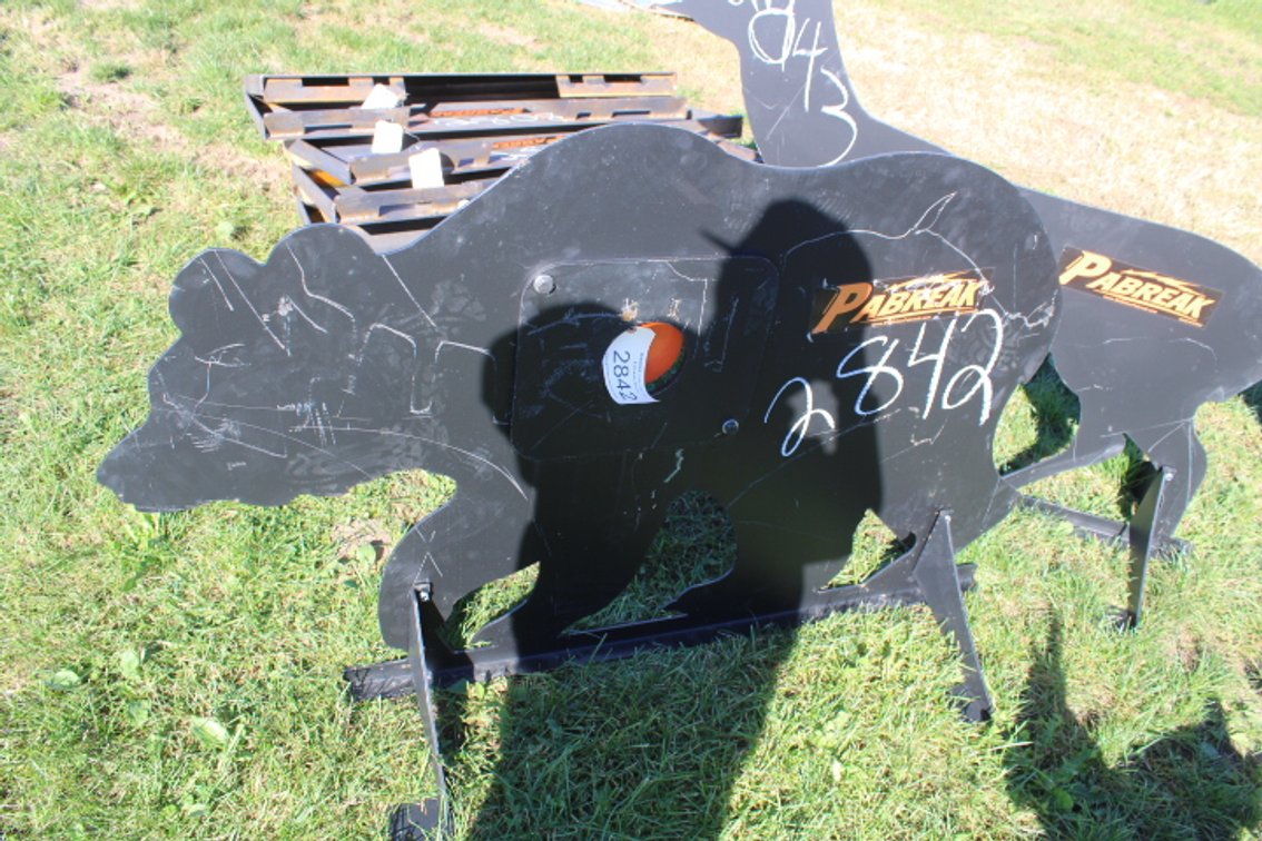 Bear Shooting Target