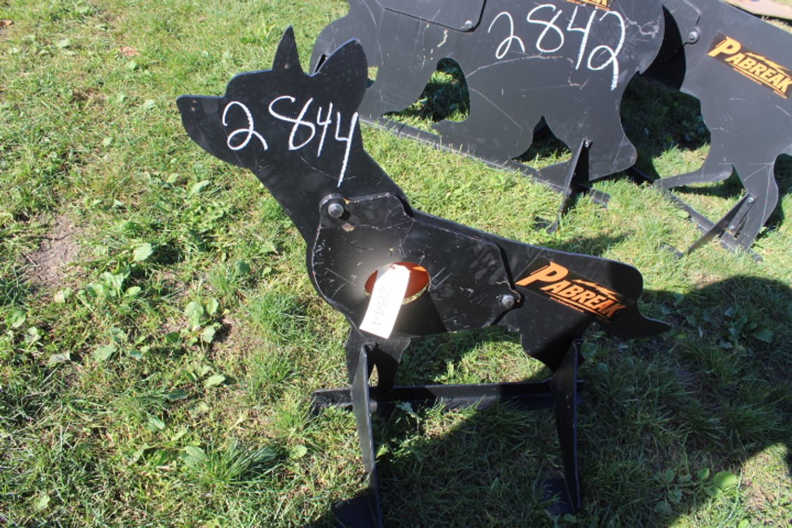 coyote shooting target