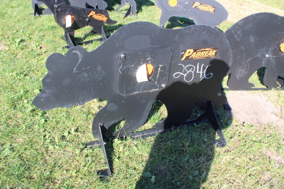 Bear Shooting Target