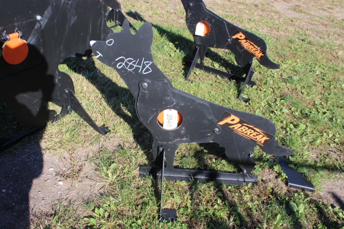 coyote shooting target