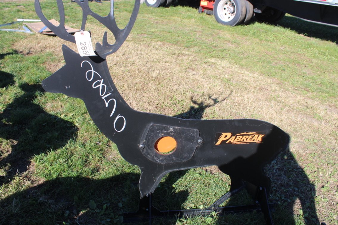 Deer shooting target