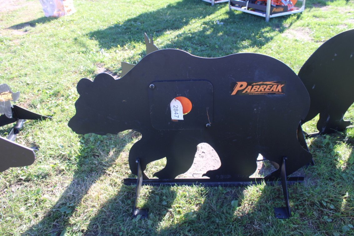 Bear Shooting Target