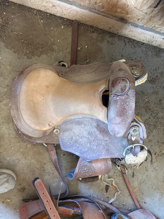 16" Saddle