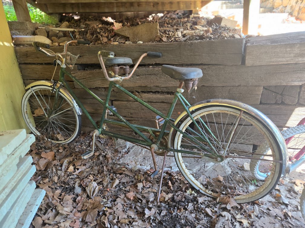 Schwinn Twin Bicycle