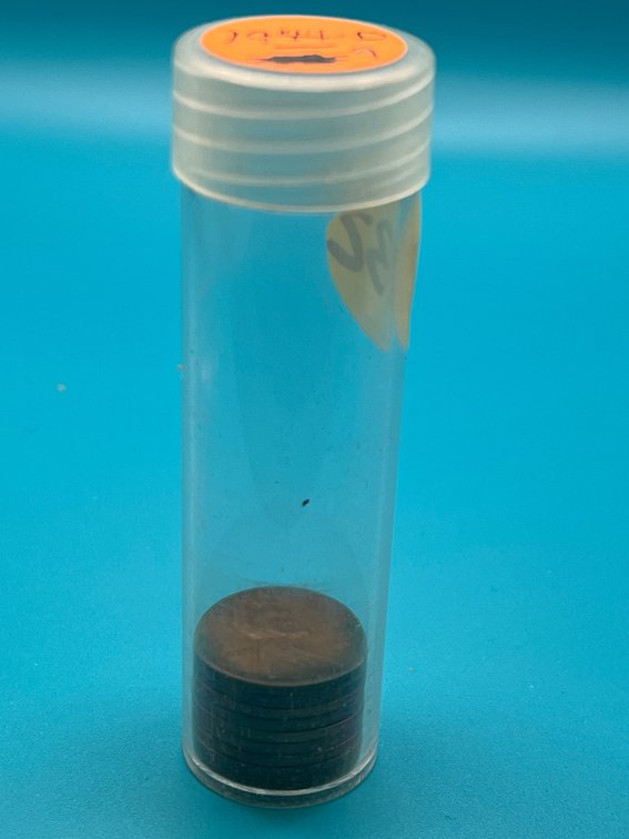 9 - 1944D Lincoln Wheat Cents