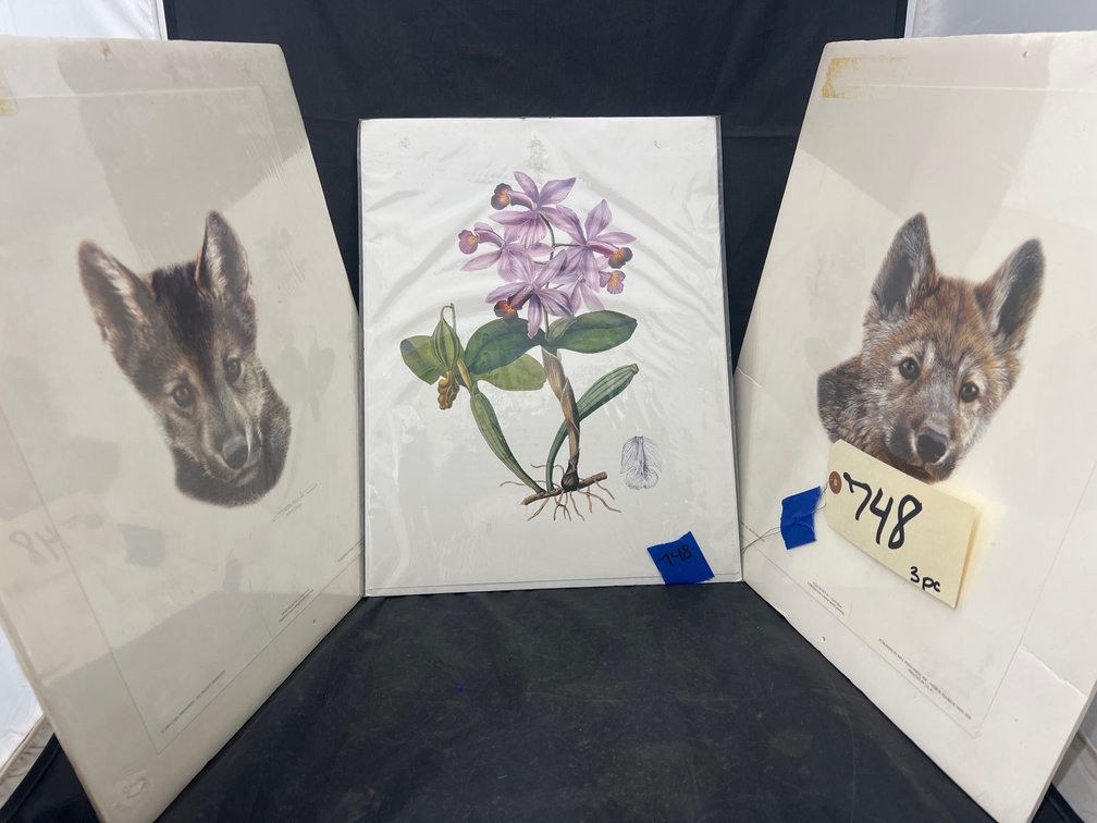 3 - Assorted Prints