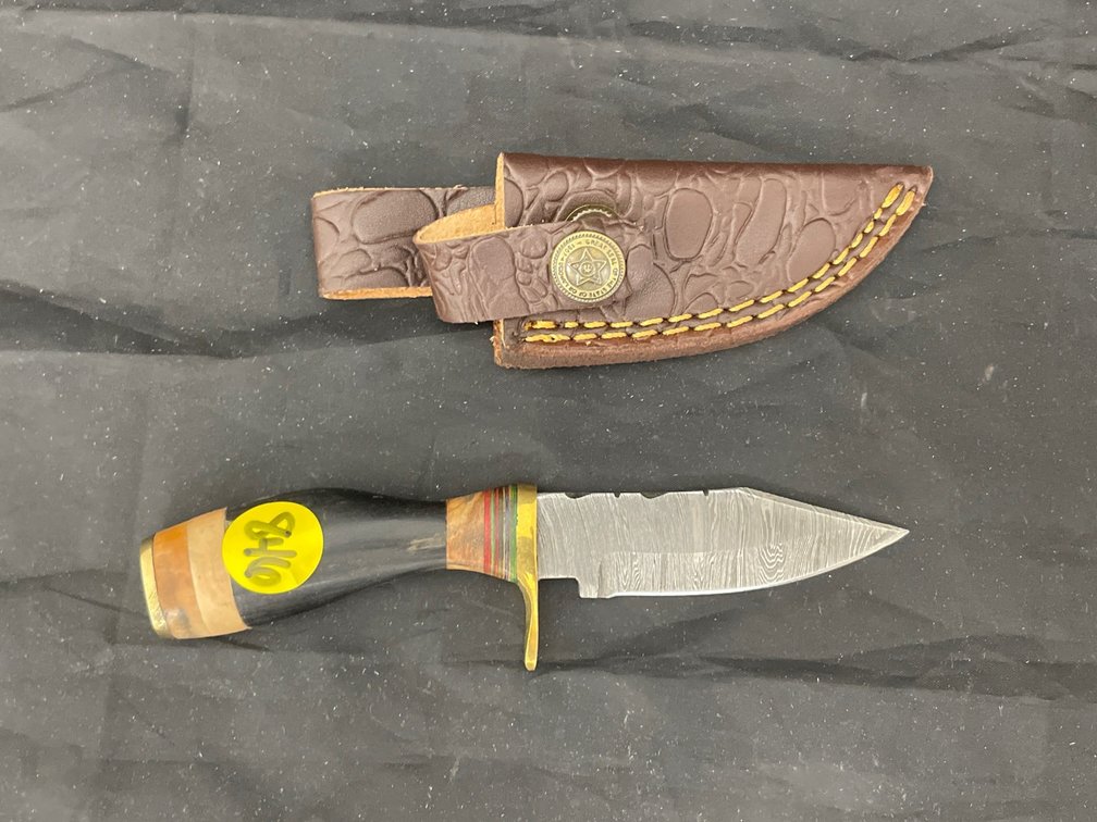 Fixed Blade Damascus Steel Knife w/Sheath