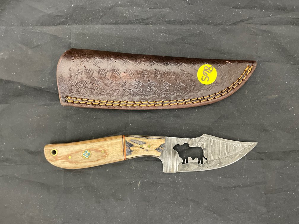 Fixed Blade Damascus Steel Knife w/Sheath