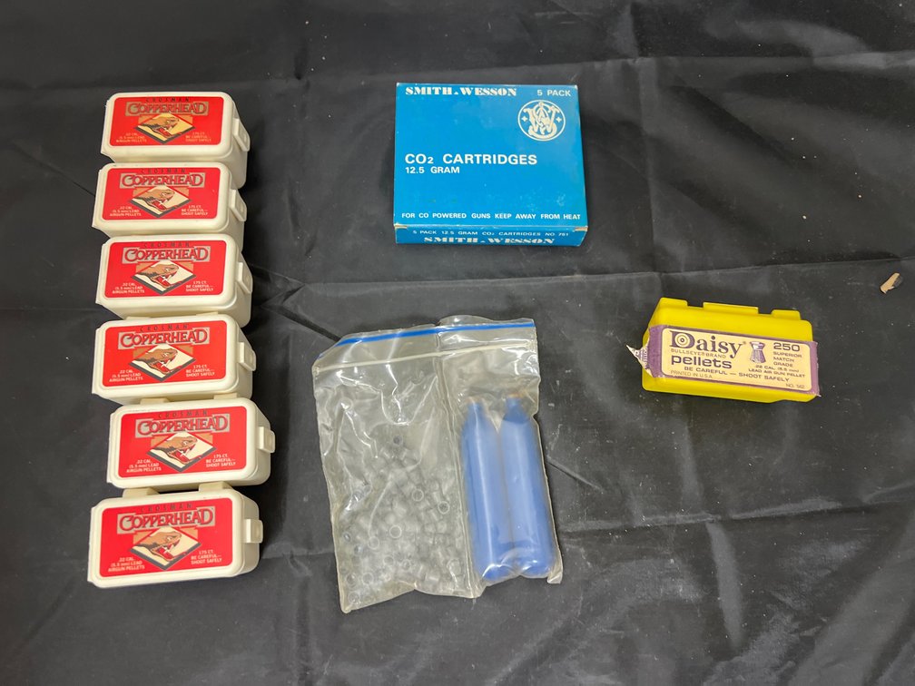 Box w/22 Cal Pellets