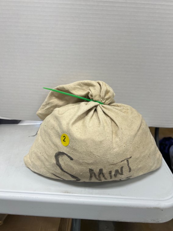 Bag of Assorted S Mint Wheat Pennies 32.4 lbs