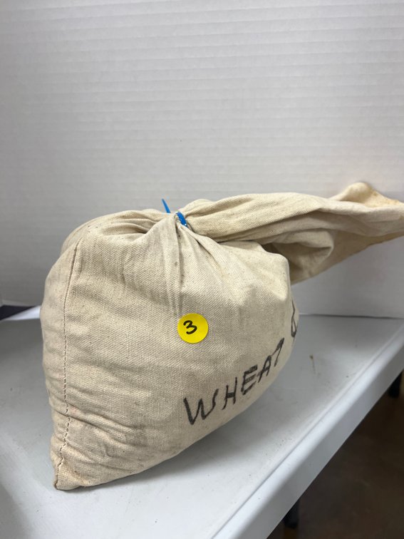 Bag of Assorted Wheat Pennies 33.7 lbs