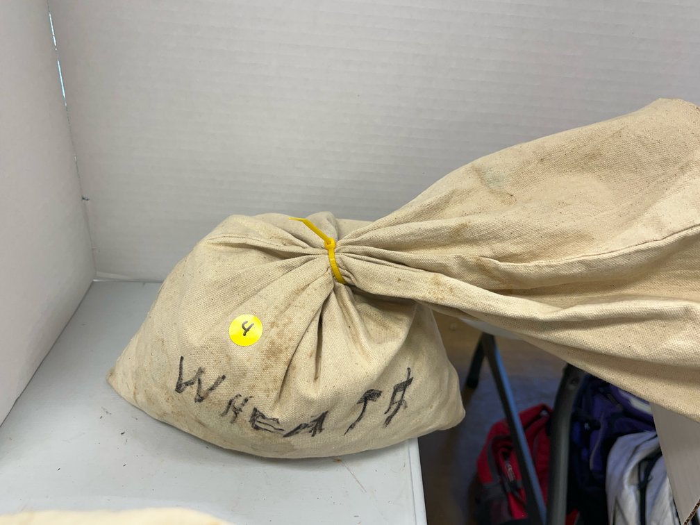 Bag of Assorted Wheat Pennies 30 lbs