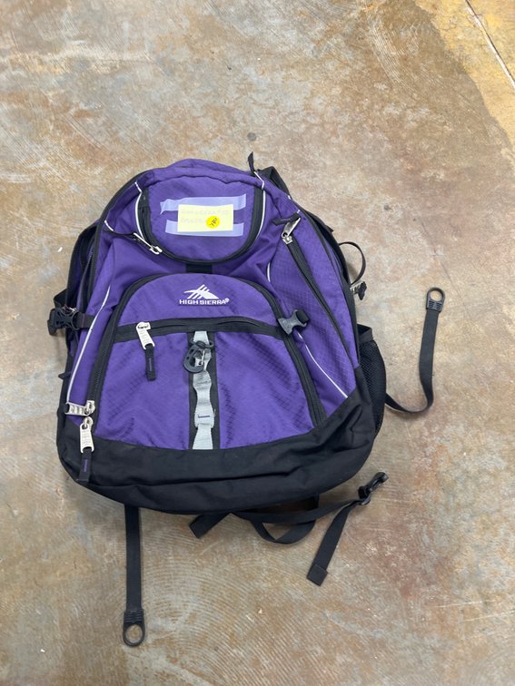 High Sierra Backpack