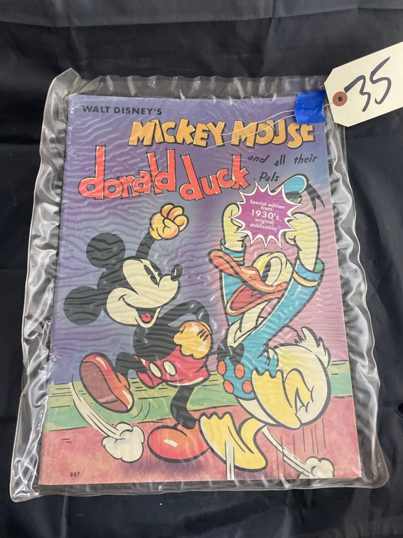 Mickey Mouse & Donald Duck Book