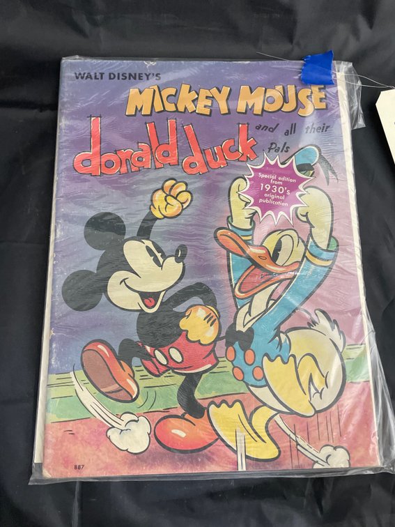 Mickey Mouse & Donald Duck Book