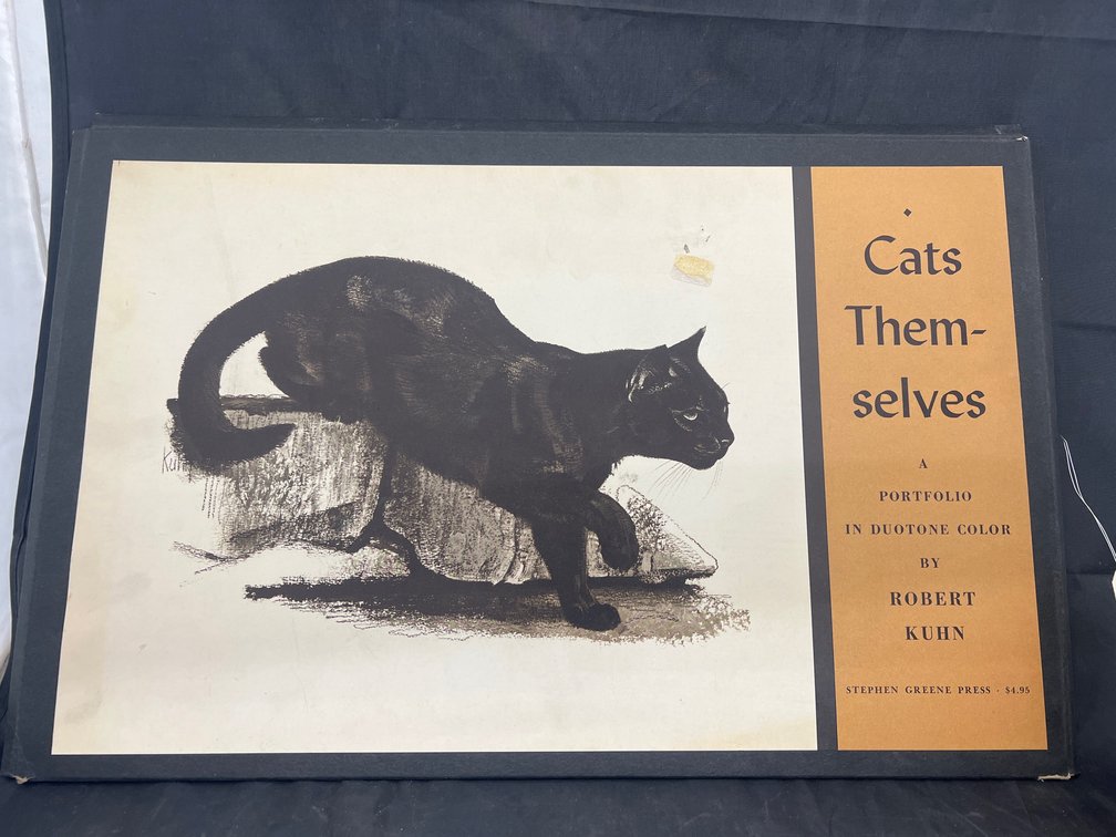 Assorted Cat Prints