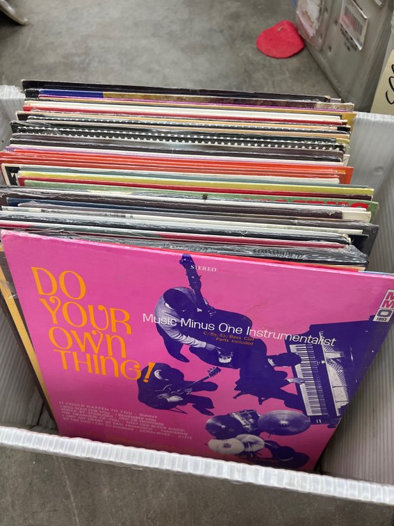 Assorted Vinyl Records in Mail Tote