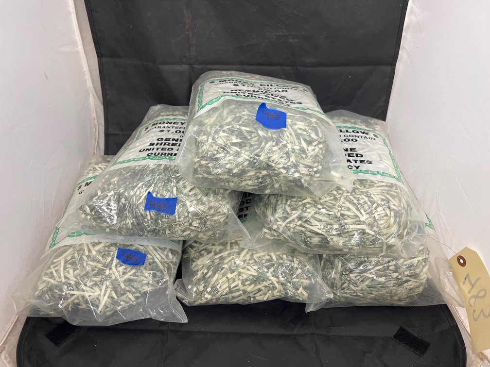 6 Bags - Money Pillows Shredded Currency