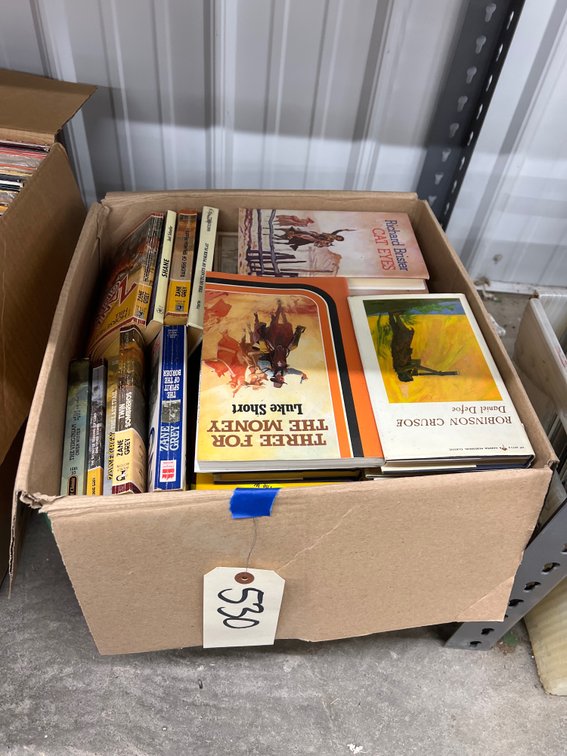 Box of Assorted Paperback Books