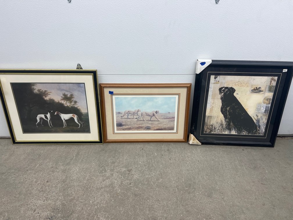 3 - Framed Prints
