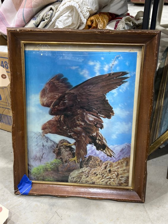 Framed Holographic Eagle Pic 13" x 16"