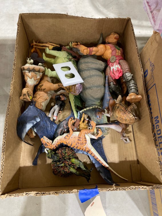 Dinosaur Toys & More
