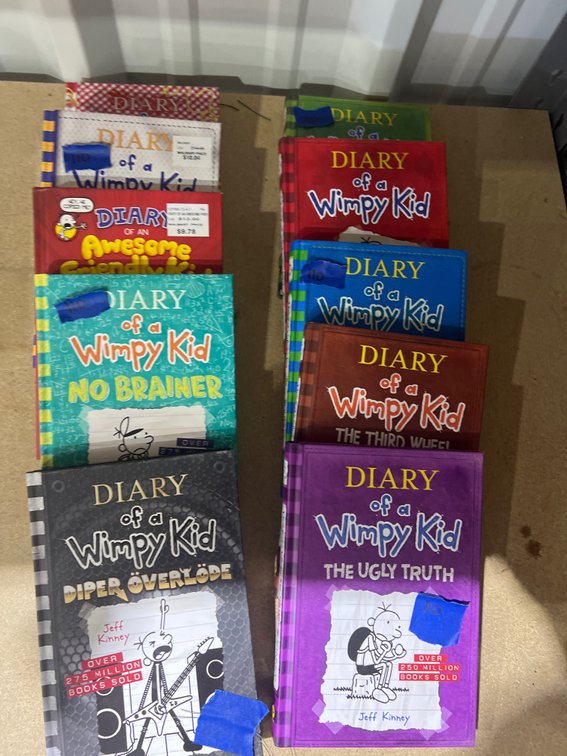 10 Pcs - Diary of a Wimpy Kid Books