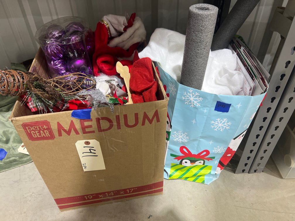 Holiday Decor in 2 Bags