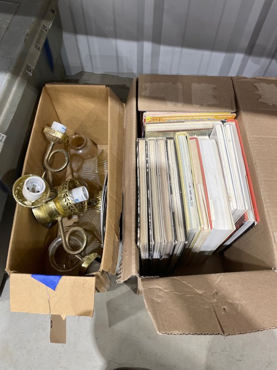 Hanging Light Fixture & Box of Assorted Books