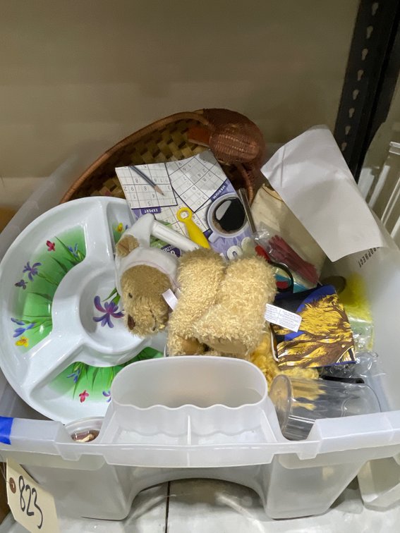Wicker Duck - Plastic Serving Trays & More in Plastic Bin w/Lid
