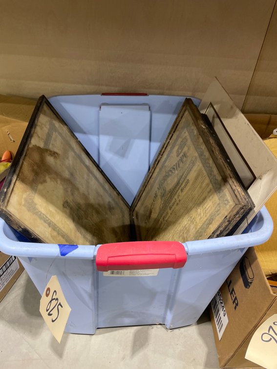 Vintage Framed Medical Licenses in Plastic Bin