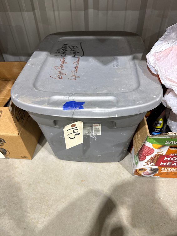 Assorted String Lights in Plastic Bin w/Lid