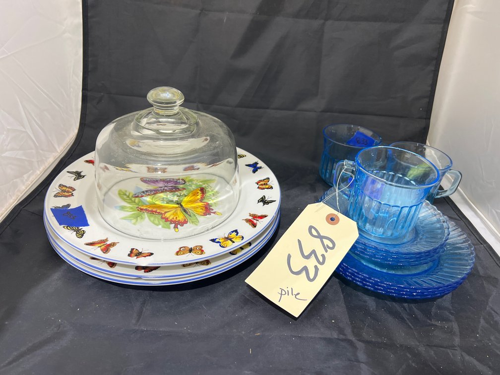 Assorted Blue & Butterfly Dinner Plates - Blue Cups & More