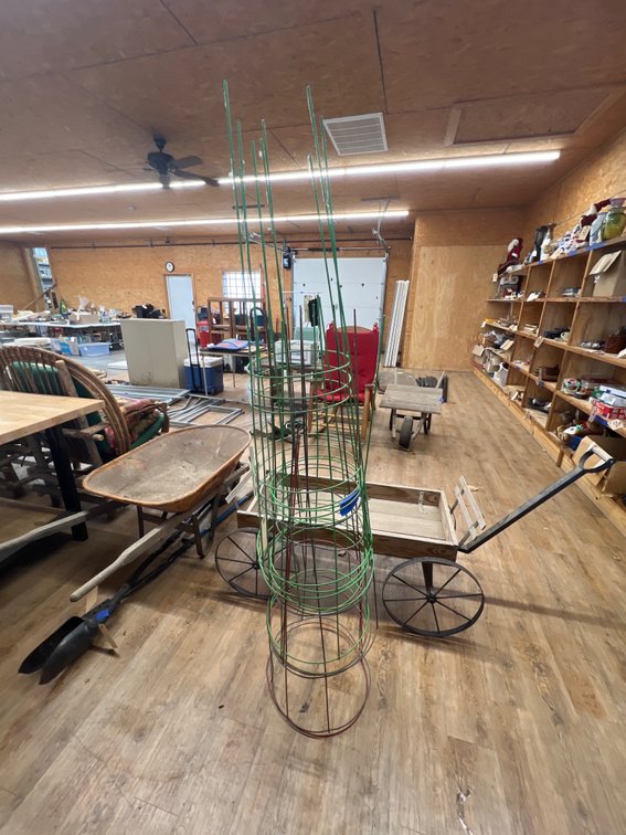 Tomato Cages