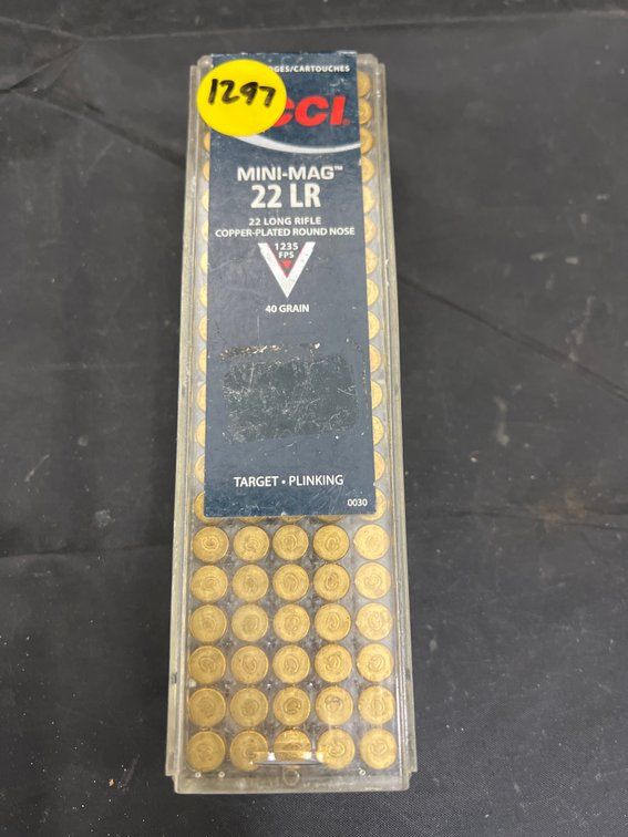22LR Ammo