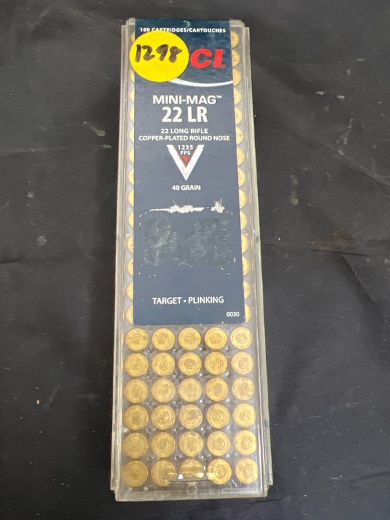 22LR Ammo