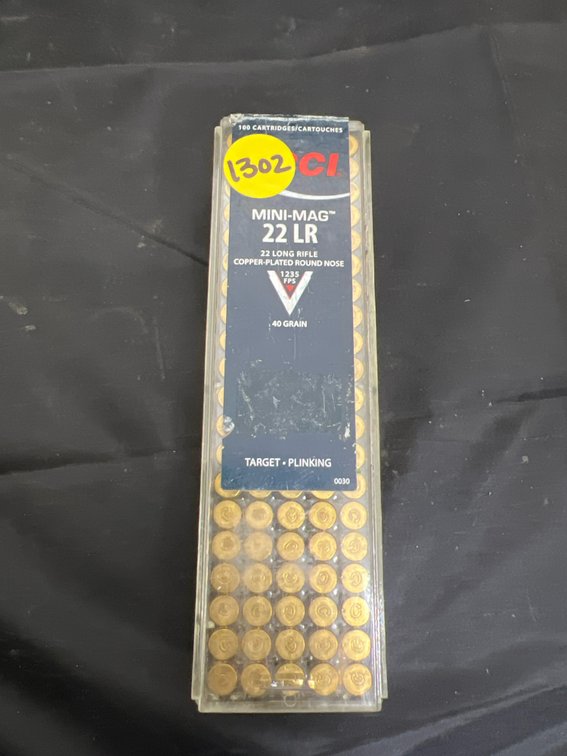 22LR Ammo
