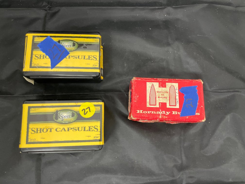 3 Pcs - 45-70 Bullets