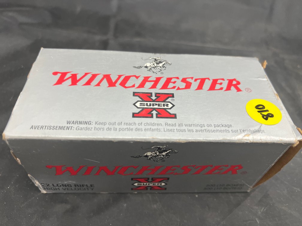 Box Winchester 22 LR 100 Rounds Ammo