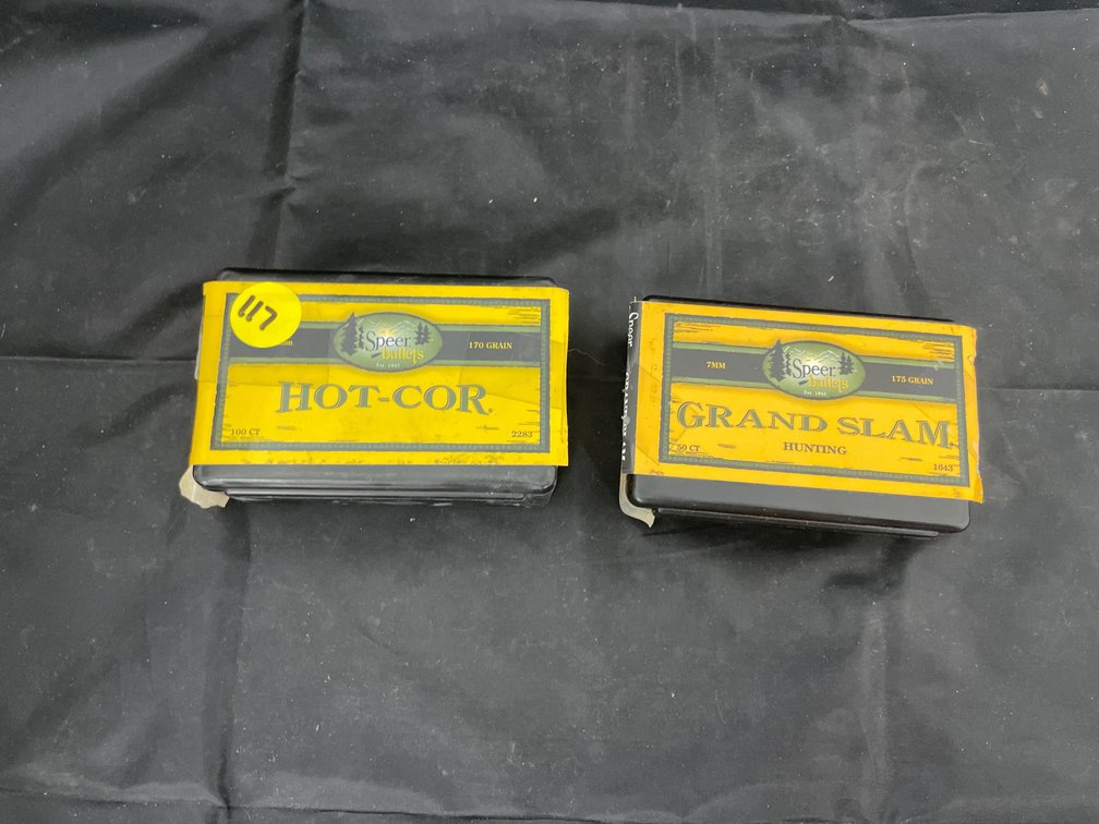 2 Pcs - 45-70 Bullets