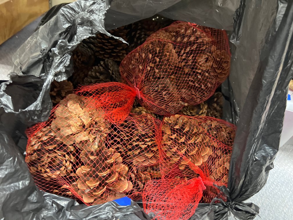 Pinecones - Cinnamon scented?