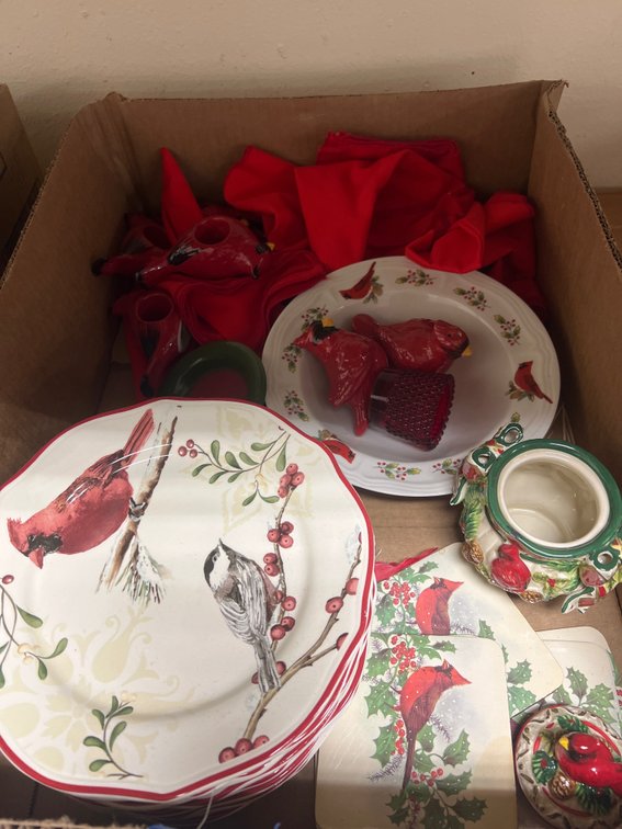 Better Homes Plates & Cardinal Napkin Rings & More