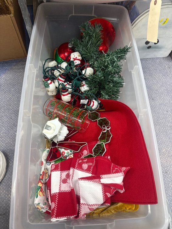String Lights - Placemats & More in Plastic Bin w/Lid
