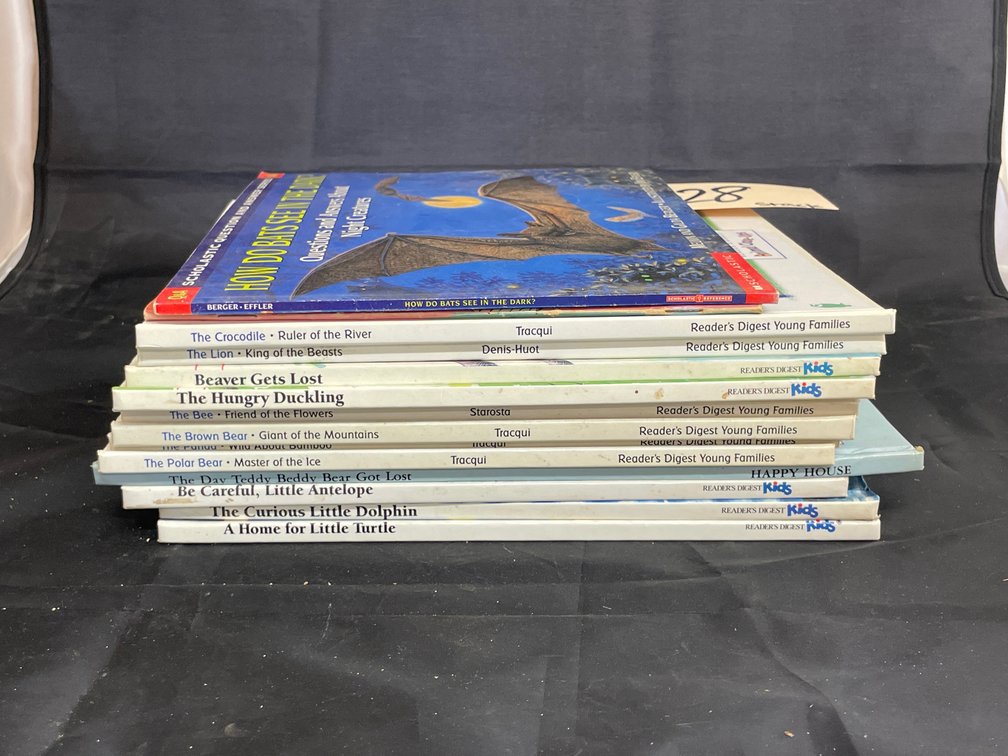 Stack of Child's Hardback Books